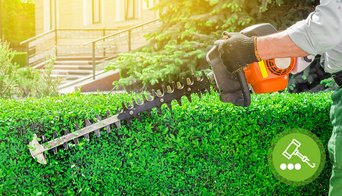 06-10-Hecke-Garten-Eigenheim